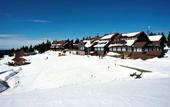 Туры в отель Rogla