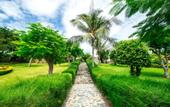 Туры в отель Romana Resort & Spa