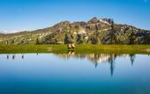 Туры в отель Romerhof