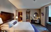 Туры в отель Rose Rayhaan by Rotana