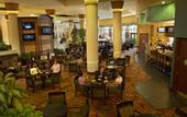 Туры в отель Rosen Centre