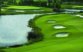 Туры в отель Rosen Shingle Creek