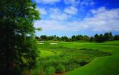 Туры в отель Rosen Shingle Creek