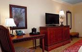 Туры в отель Rosen Shingle Creek