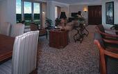 Туры в отель Rosen Shingle Creek