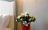 Туры в отель Rosso 23