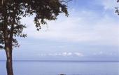Туры в отель Round Hill Hotel & Villas