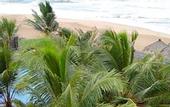 Туры в отель Royal Beach Resort