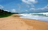 Туры в отель Royal Beach Resort