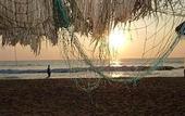 Туры в отель Royal Beach Resort