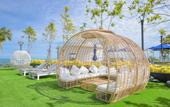 Туры в отель Royal Cliff Beach Hotel