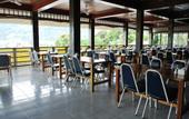 Туры в отель Royal Crown Hotel & Palm Spa Resort
