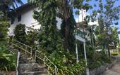 Туры в отель Royal Crown Hotel & Palm Spa Resort
