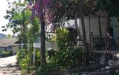 Туры в отель Royal Crown Hotel & Palm Spa Resort