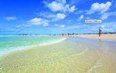 Туры в отель Royal Decameron Boa Vista (Cape Verde)