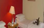 Туры в отель Royal Dublin