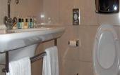 Туры в отель Royal Dublin