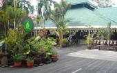 Туры в отель Royal Mulu Resort