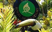 Туры в отель Royal Mulu Resort