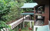 Туры в отель Royal Mulu Resort
