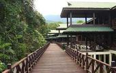 Туры в отель Royal Mulu Resort