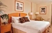 Туры в отель Royal Palm South Beach
