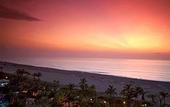 Туры в отель Royal Palm South Beach