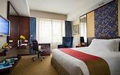 Туры в отель Royal Plaza on Scotts