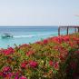 Туры в отель Royal Zanzibar Beach Resort, оператор Anex Tour