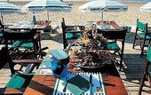 Туры в отель Hotel Barriere Le Royal La Baule