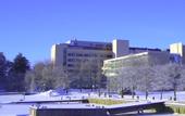 Туры в отель Ruissalo Spa Hotel