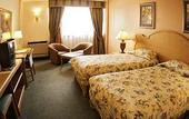 Туры в отель Safari Court