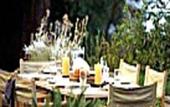 Туры в отель Sagrika Resort