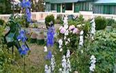 Туры в отель Sagrika Resort