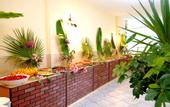 Туры в отель Kiris Rose Hotel
