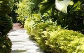 Туры в отель Salad Beach Resort