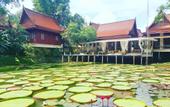 Туры в отель Ma Doo Bua Phuket