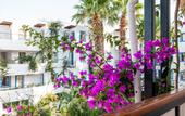 Туры в отель Sami Beach Hotel