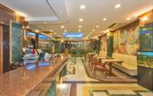 Туры в отель Samir Deluxe Hotel