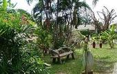 Туры в отель Samui Beach Resort