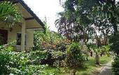 Туры в отель Samui Beach Resort