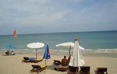 Туры в отель Samui Beach Resort