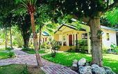 Туры в отель Samui Beach Resort