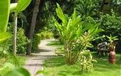 Туры в отель Samui Beach Resort