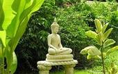 Туры в отель Samui Beach Resort