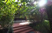 Туры в отель Samui Garden Home