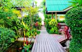 Туры в отель Samui Island Beach Hotel