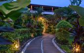 Туры в отель Samui Jasmine Resort