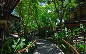 Туры в отель Samui Laguna Resort