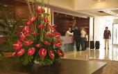Туры в отель Bahia Principe San Felipe